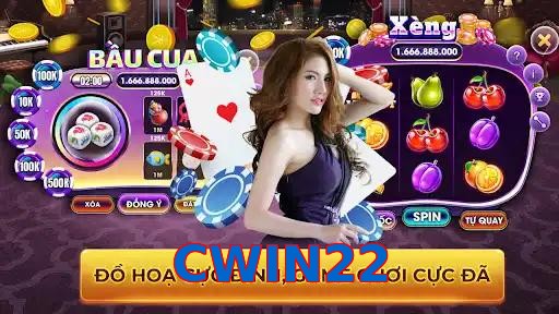CWIN22
