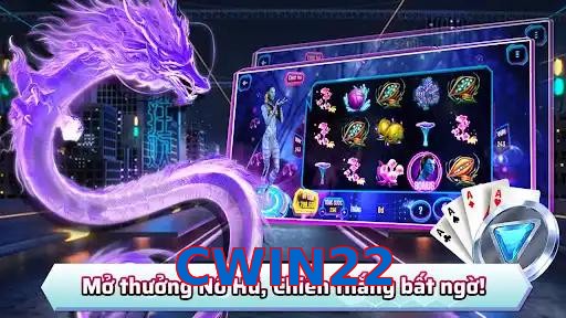 CWIN22